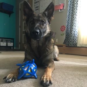 Meet your Posher, Katelyn